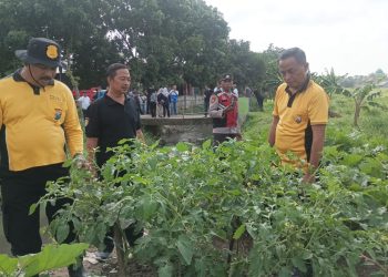 Kapolsek Krian Turun Langsung Cek Ketahanan Pangan di Desa Junwangi