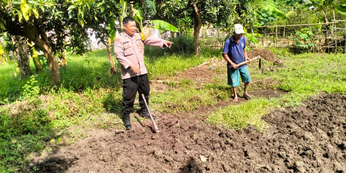 Bhabinkamtibmas Desa Jiken Tulangan Pastikan Optimalisasi Pengolahan Lahan Pangan Bergizi