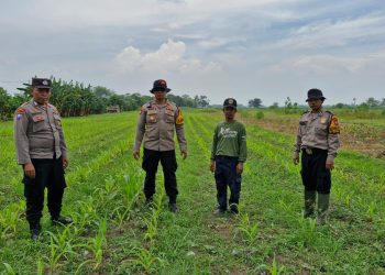 Siapkan Pekarangan Pangan Bergizi di Bakungtemenggungan Balongbendo