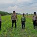 Siapkan Pekarangan Pangan Bergizi di Bakungtemenggungan Balongbendo