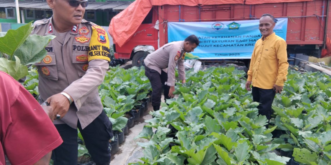 Gotong Royong Distribusikan Bibit Hortikultura di Desa Lemujut