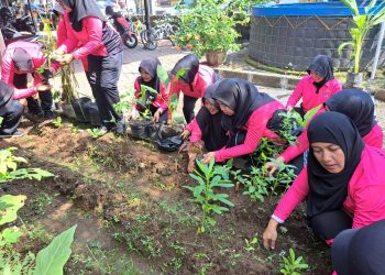 Ranting Tanggulangin Bhayangkari Cabang Kota Sidoarjo Kelola Pekarangan Pangan Lestari