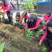 Ranting Tanggulangin Bhayangkari Cabang Kota Sidoarjo Kelola Pekarangan Pangan Lestari