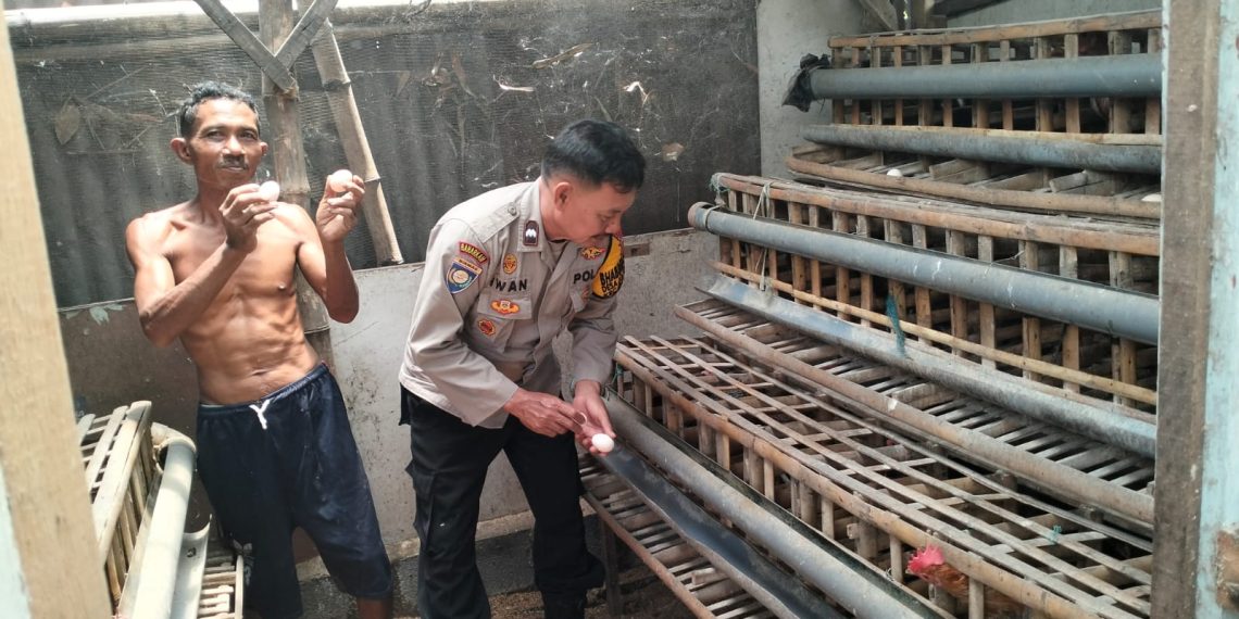 Bhabinkamtibmas Desa Jatikalang Polsek Krian Tinjau Peternakan Ayam Petelur