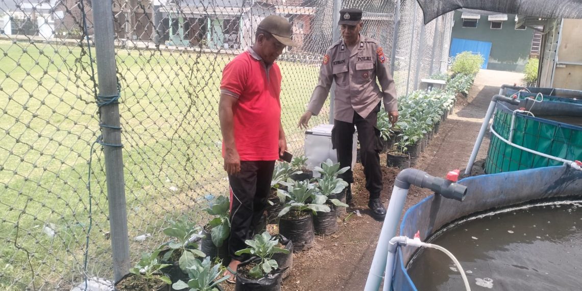 Polsek Buduran Optimalisasi Pengelolaan Lahan Peternakan dan Sayur untuk Ketahanan Pangan