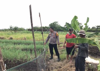 Bhabinkamtibmas Desa Punggul Bersama Warga Cek Lahan Ketahanan Pangan