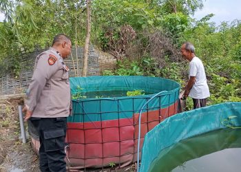 Polsek Prambon Dampingi Warga Wujudkan Swasembada Pangan Mandiri