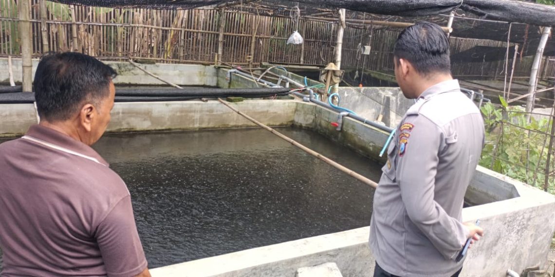 Polsek Tarik Dampingi Warga Budidaya Ikan Lele