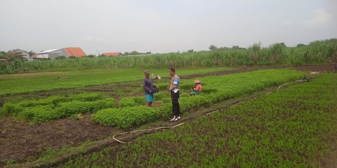 Bhabinkamtibmas Desa Gampang Cek Pekarangan Pangan Bergizi
