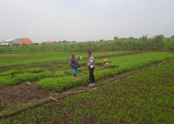Bhabinkamtibmas Desa Gampang Cek Pekarangan Pangan Bergizi