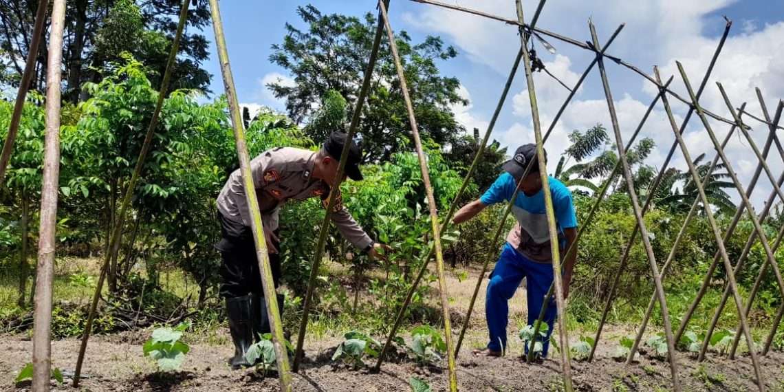 Polisi Cek Ketahanan Pangan di Desa Sambibulu