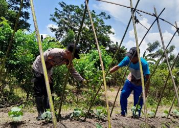 Polisi Cek Ketahanan Pangan di Desa Sambibulu