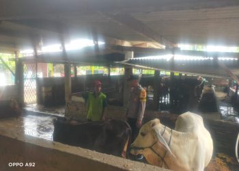 Bhabinkamtibmas Pertapan Maduretno Sambangi Warga Peternak Sapi untuk Dukung Ketahanan Pangan