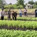 Bhabinkamtibmas Gamping Maksimalkan Penanaman Kangkung Program Ketahanan Pangan