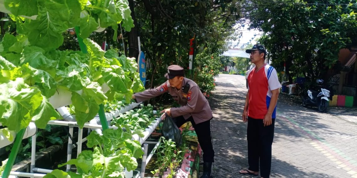 Warga Perum MCG Antusias Tanam Sayur Hidroponik Dukung Ketahanan Pangan