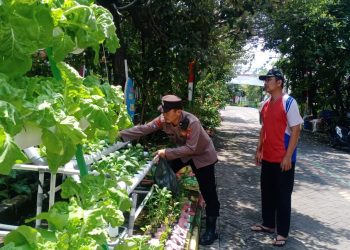 Warga Perum MCG Antusias Tanam Sayur Hidroponik Dukung Ketahanan Pangan