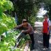 Warga Perum MCG Antusias Tanam Sayur Hidroponik Dukung Ketahanan Pangan