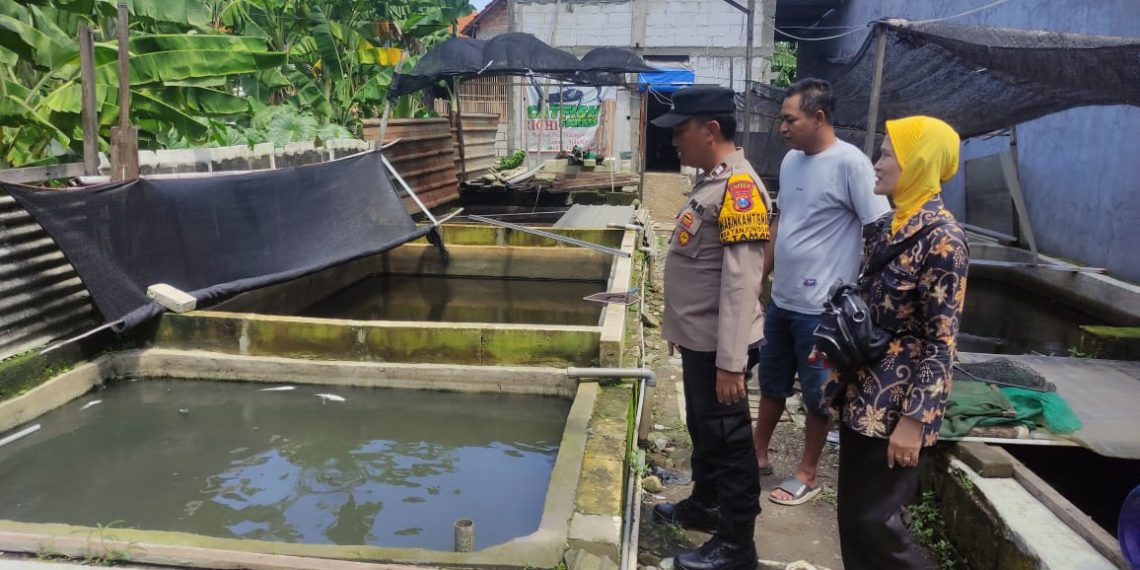 Bhabinkamtibmas Tanjungsari Cek Budidaya Lele Dukung Ketahanan Pangan Polresta Sidoarjo