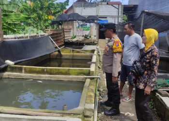 Bhabinkamtibmas Tanjungsari Cek Budidaya Lele Dukung Ketahanan Pangan Polresta Sidoarjo
