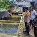 Bhabinkamtibmas Tanjungsari Cek Budidaya Lele Dukung Ketahanan Pangan Polresta Sidoarjo