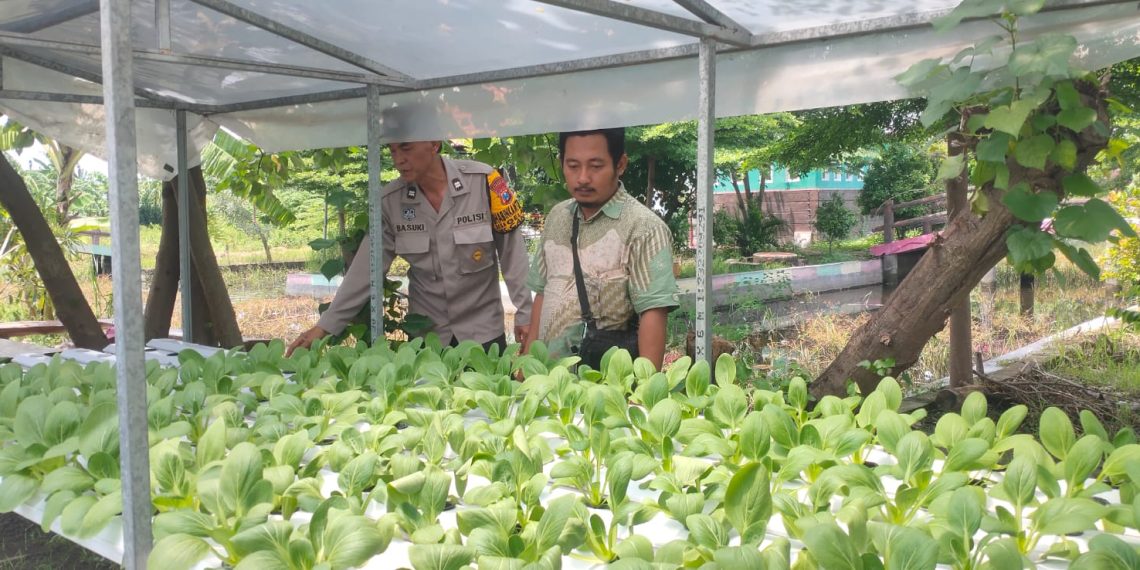 Warga Desa Gelam Antusias Tanam Sayur Hidroponik Dukung Ketahanan Pangan