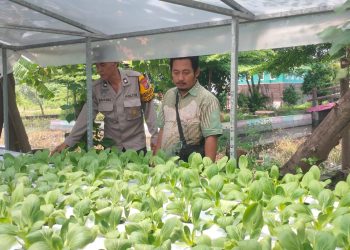 Warga Desa Gelam Antusias Tanam Sayur Hidroponik Dukung Ketahanan Pangan