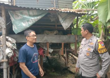 Bhabinkamtibmas Candi Cek Peternakan Kambing Dukung Ketahanan Pangan Polresta Sidoarjo