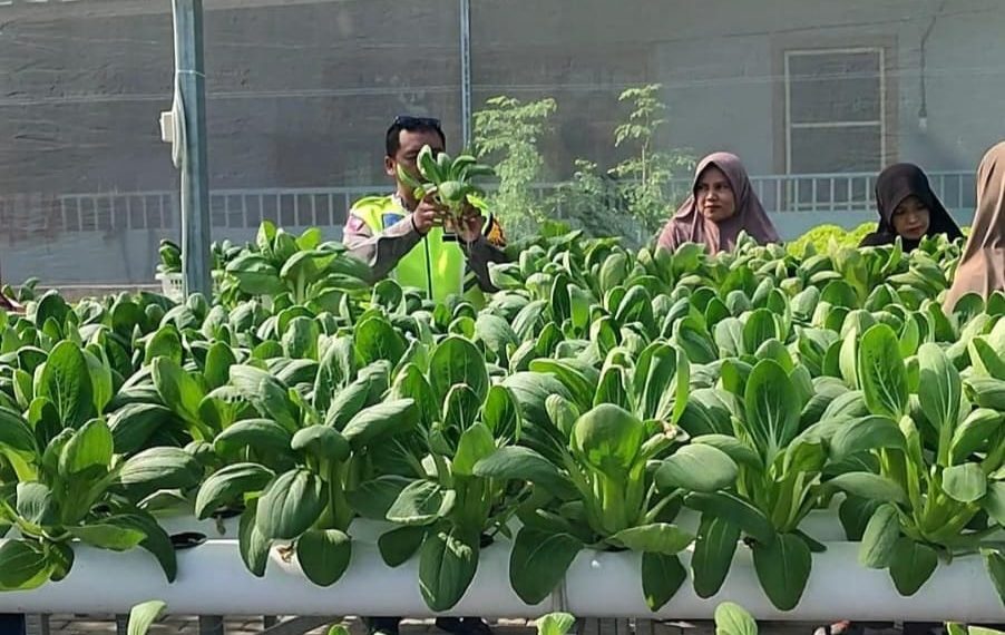 Bhabinkamtibmas Desa Kletek Cek Green House Ketahanan Pangan
