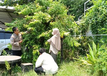 Polsek Waru Masifkan Peran Bhabinkamtibmas Cek Perkembangan Tanaman Ketahanan Pangan