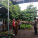Warga Desa Kepuh Kiriman Manfaatkan Fasum untuk Ketahanan Pangan, Polsek Waru Beri Pendampingan