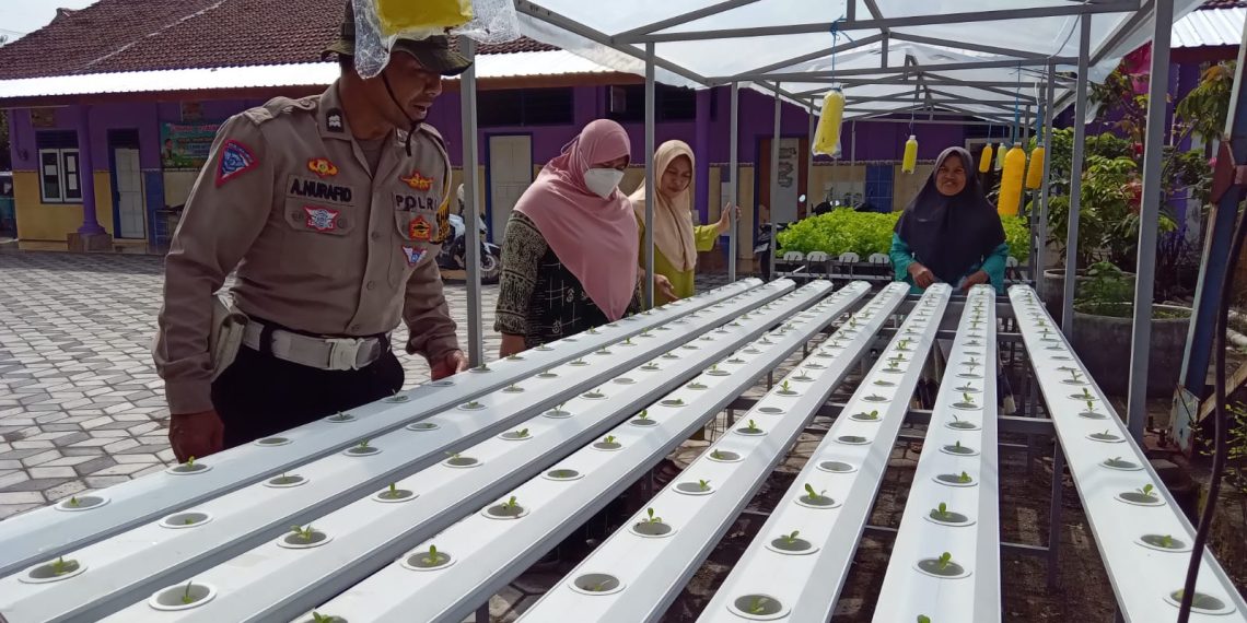 Bhabinkamtibmas Kalidawir Polsek Tanggulangin Sambangi Warga yang Kelola Lahan Pekarangan Bergizi