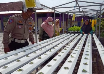 Bhabinkamtibmas Kalidawir Polsek Tanggulangin Sambangi Warga yang Kelola Lahan Pekarangan Bergizi