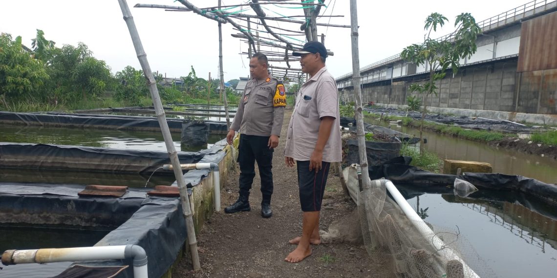 Kapolsek Wonoayu Cek Peternakan Ikan di Desa Popoh