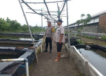 Kapolsek Wonoayu Cek Peternakan Ikan di Desa Popoh