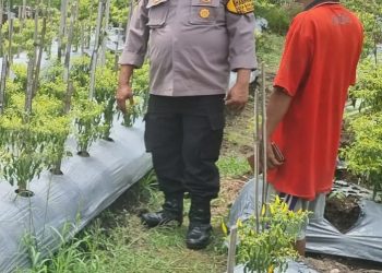 Dukung Ketahanan Pangan, Polsek Sidoarjo Kota Turun ke Warga