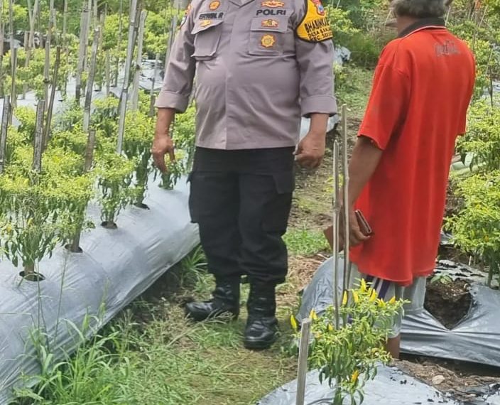 Dukung Ketahanan Pangan, Polsek Sidoarjo Kota Turun ke Warga