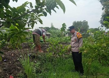 Siapkan Pekarangan Pangan Bergizi di Desa Ketegan TanggulanginP