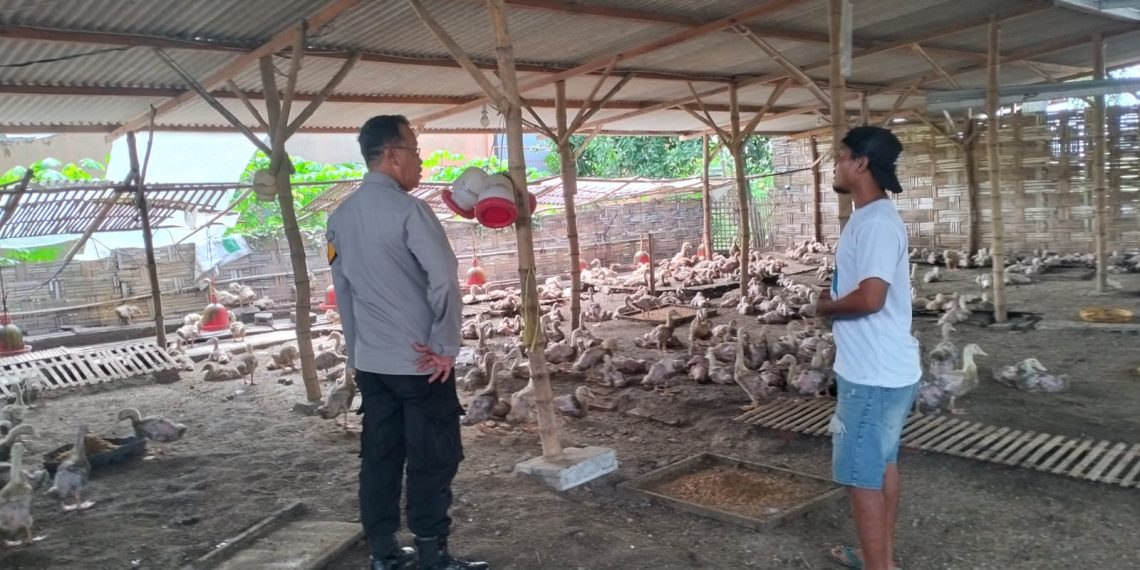 Bhabinkamtibmas Desa Gelang Koordinasi dengan Warga Manfaatkan Lahan P2B untuk Peternakan Bebek