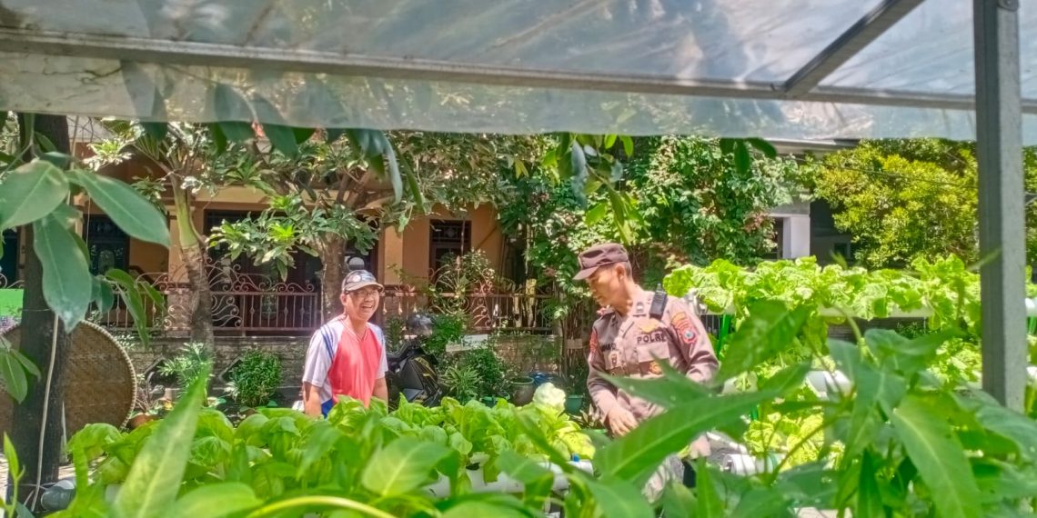 Fasum Perumahan di Candi Dijadikan Tanaman Sayur Hidroponik Dukung Ketahanan Pangan
