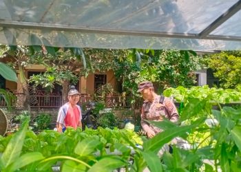 Fasum Perumahan di Candi Dijadikan Tanaman Sayur Hidroponik Dukung Ketahanan Pangan