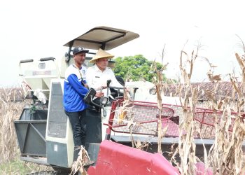 Bupati Subandi Dukung Penuh Program Ketahanan Pangan Nasional