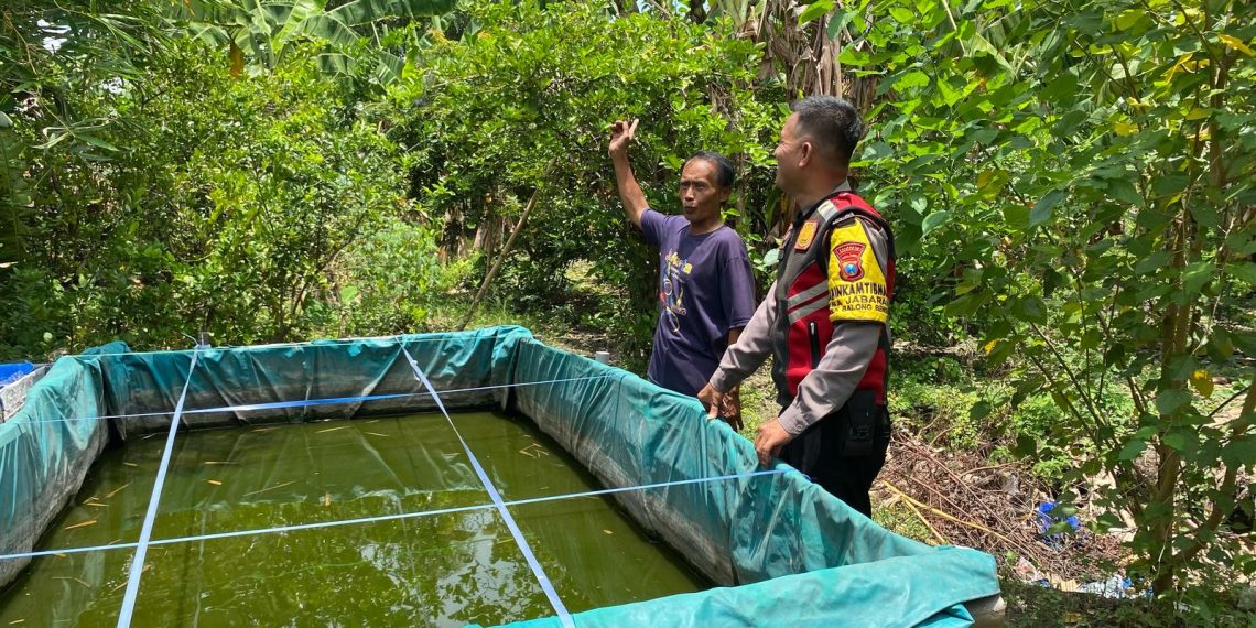 Ubah Lahan Tidur Menjadi Tempat Budidaya Perikanan di Desa Jabaran