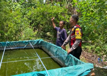 Ubah Lahan Tidur Menjadi Tempat Budidaya Perikanan di Desa Jabaran