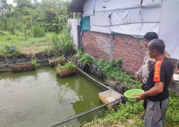 Warga Tanggulangin Bikin Kolam Ikan Lele di Lahan Rumah Diapresiasi Polisi