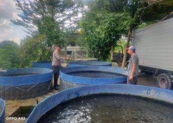 Polisi Apresiasi Warga Desa Pertapan Maduretno Manfaatkan Lahan Kosong untuk Budidaya Lele