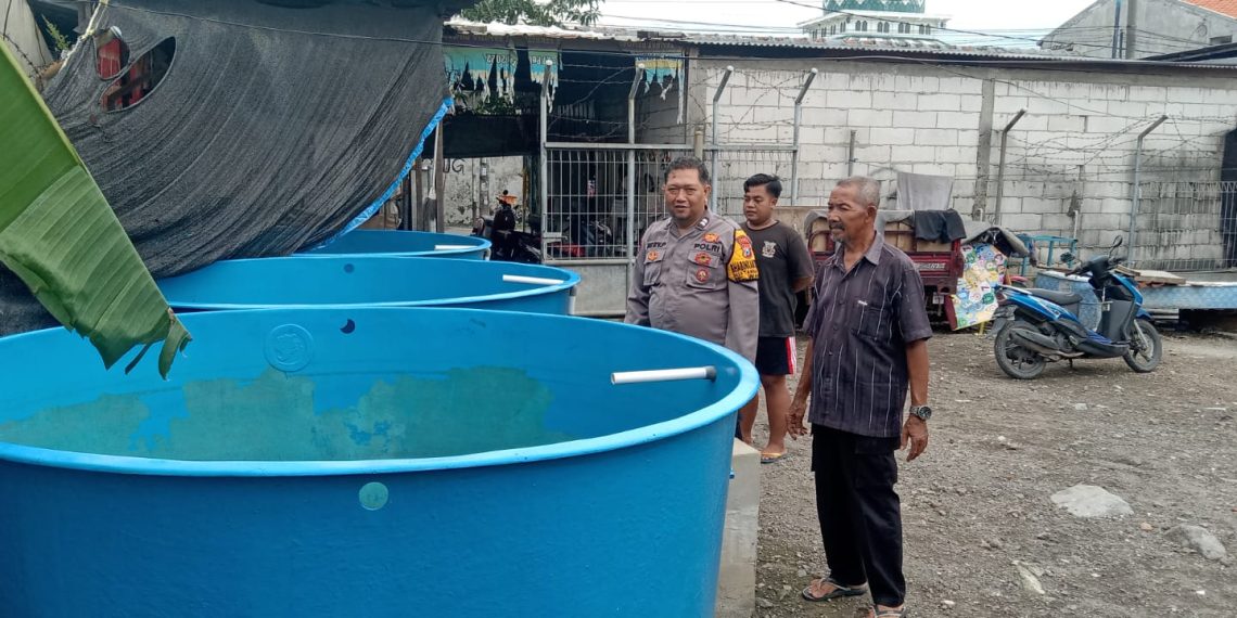 Bhabinkamtibmas Desa Tambak Sawah Tinjau Budidaya Ikan Lele Dukung Program P2B
