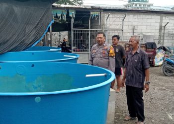 Bhabinkamtibmas Desa Tambak Sawah Tinjau Budidaya Ikan Lele Dukung Program P2B