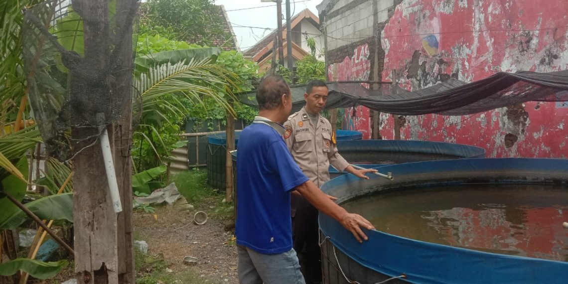 Polsek Sedati Sambangi Warga Pranti Manfaatkan Lahan untuk Budidaya Lele