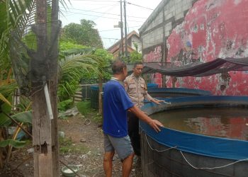 Polsek Sedati Sambangi Warga Pranti Manfaatkan Lahan untuk Budidaya Lele