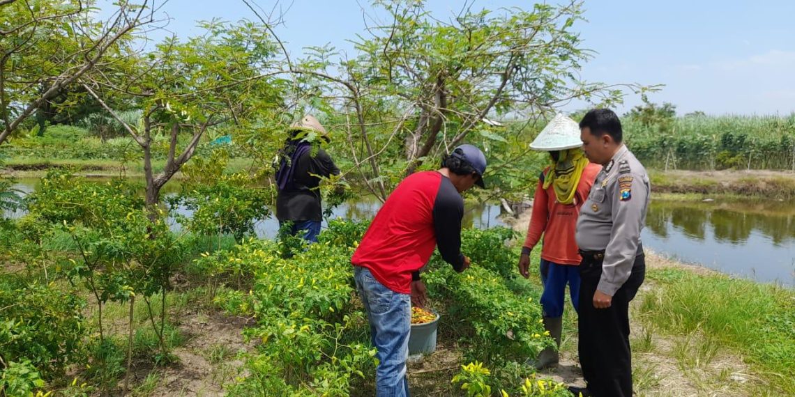 Bhabinkamtibmas Koordinasi dengan Warga Terkait Program Pekarangan Pangan Bergizi di Desa Permisan